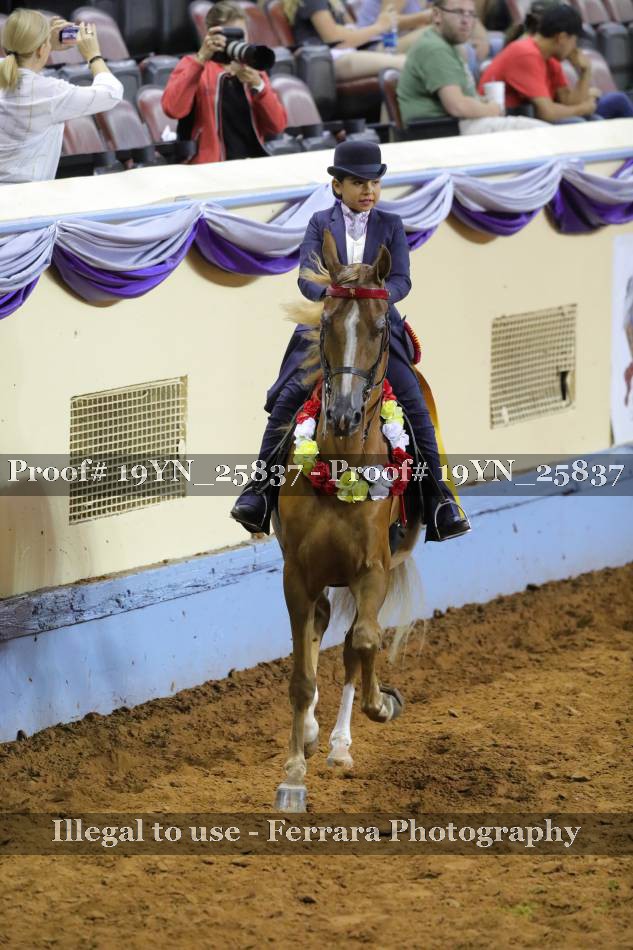 Proof 19YN_25837