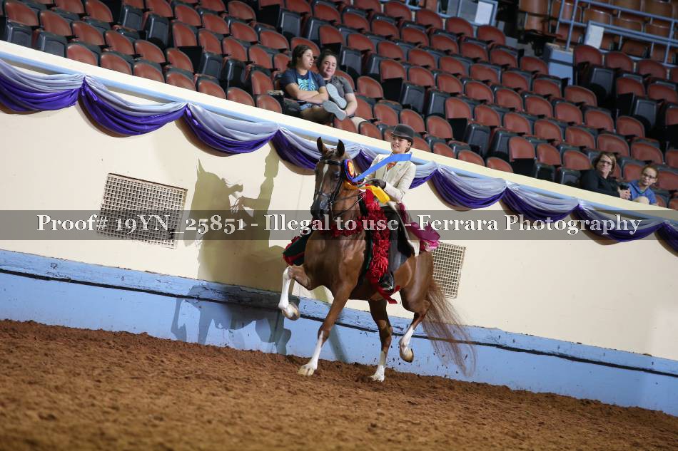 Proof 19YN_25851
