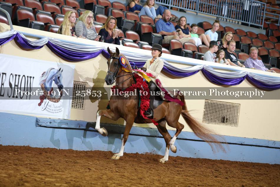Proof 19YN_25853
