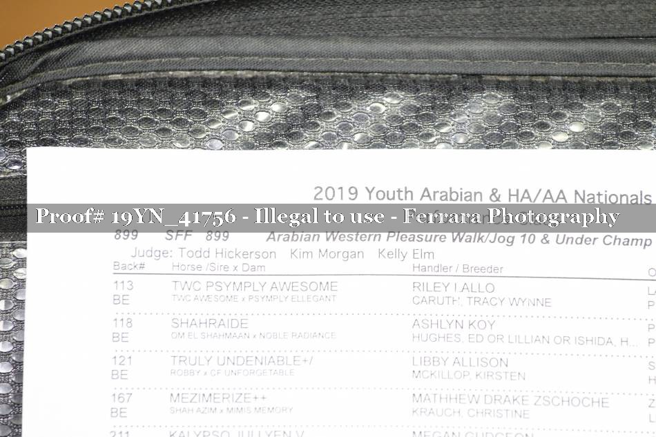 Proof 19YN_41756