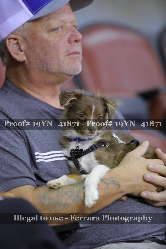 Proof 19YN_41871