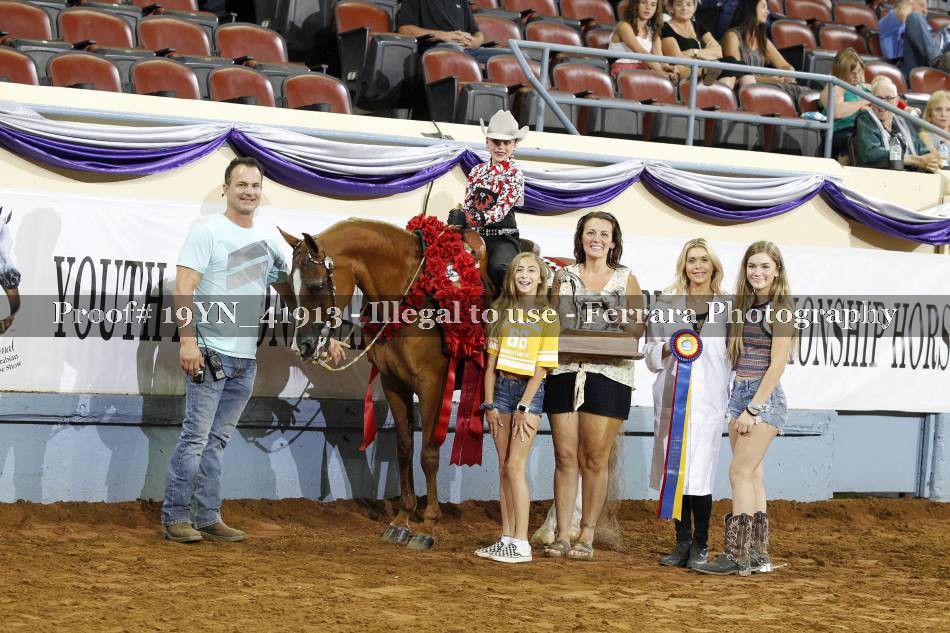 Proof 19YN_41913