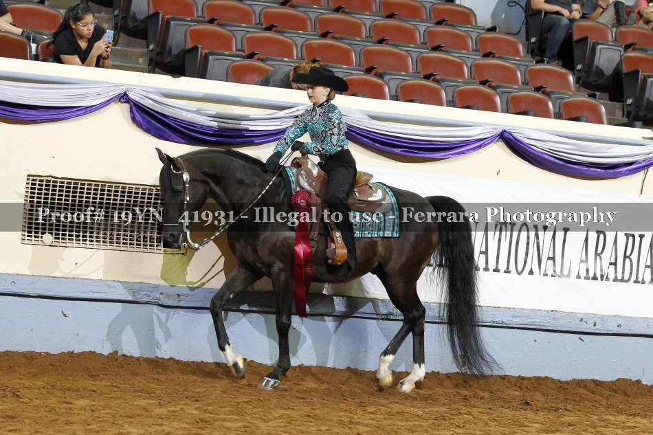 Proof 19YN_41931