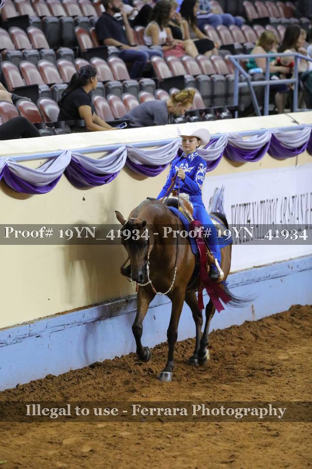 Proof 19YN_41934