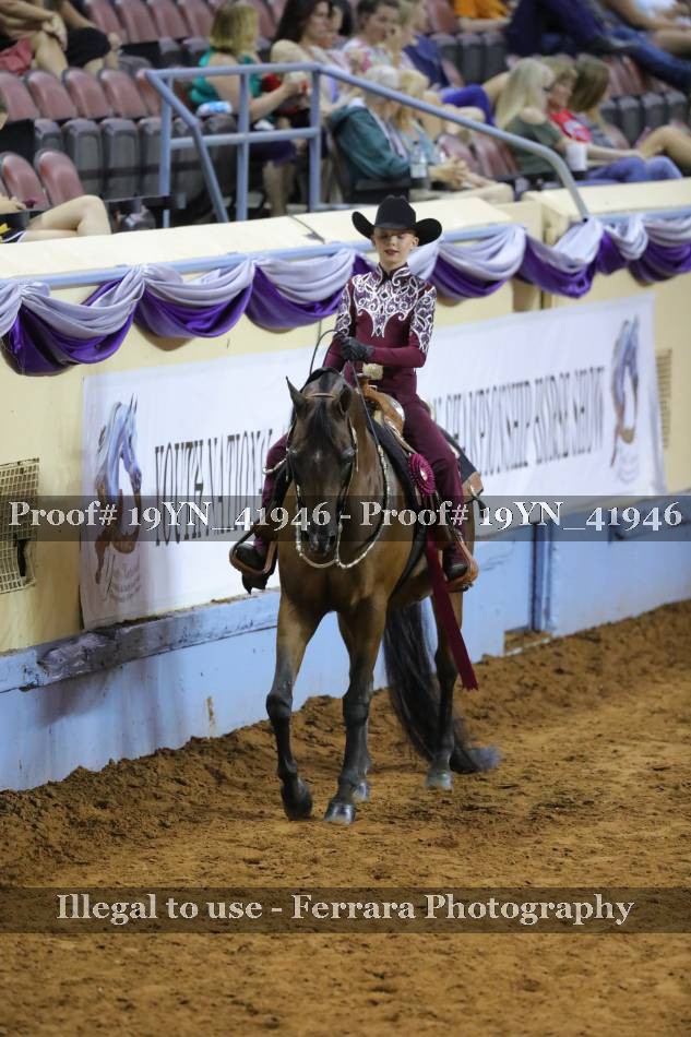 Proof 19YN_41946