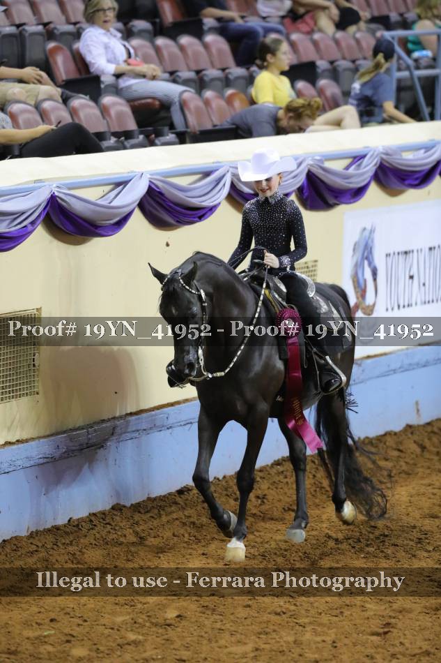 Proof 19YN_41952