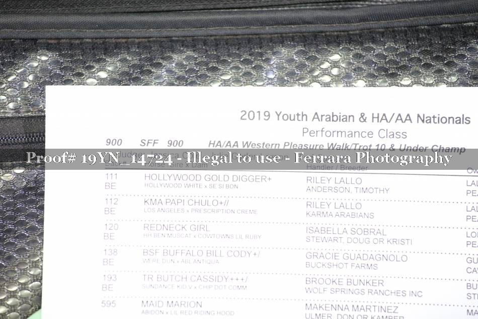 Proof 19YN_14724