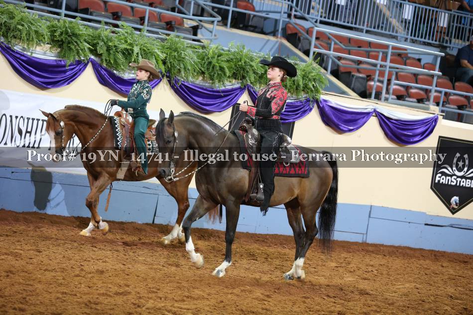 Proof 19YN_14741