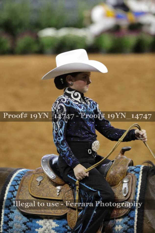 Proof 19YN_14747
