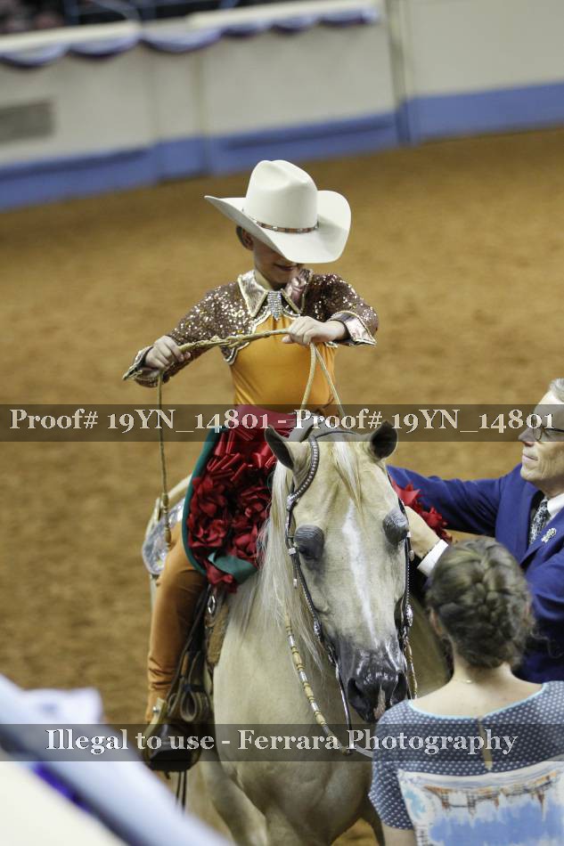 Proof 19YN_14801