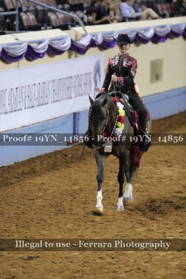 Proof 19YN_14856