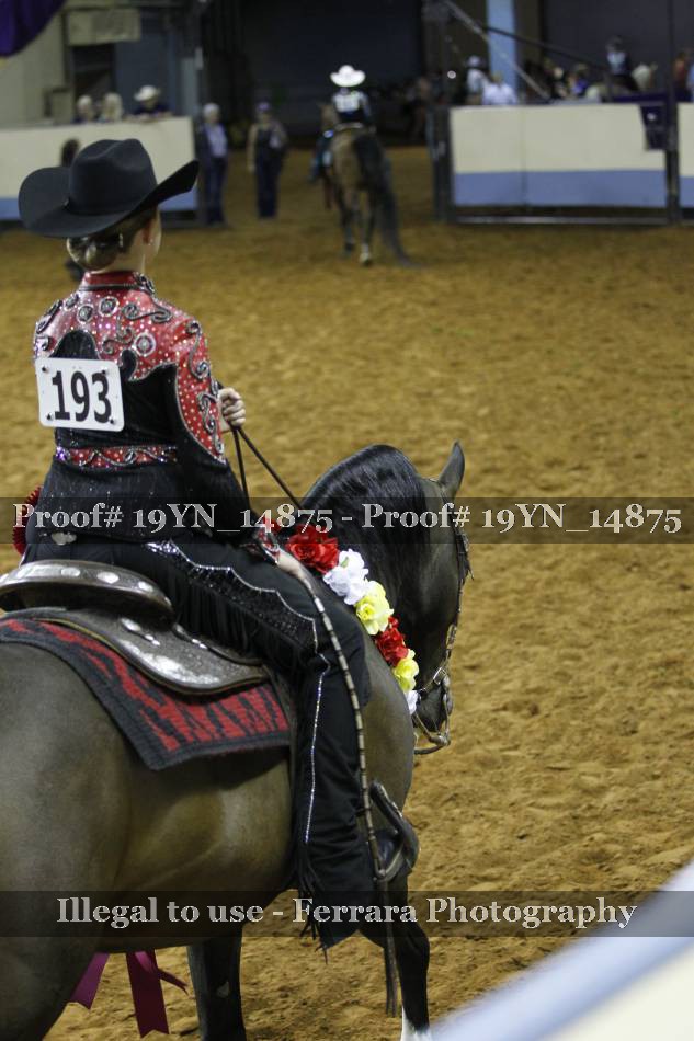 Proof 19YN_14875