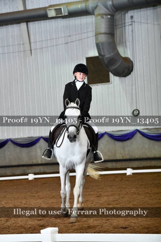 Proof 19YN_13405