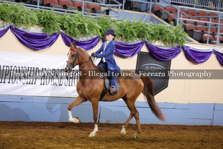 Proof 19YN_00408
