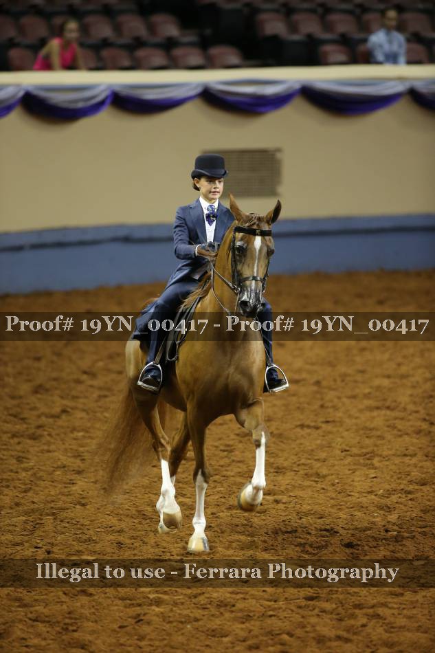 Proof 19YN_00417