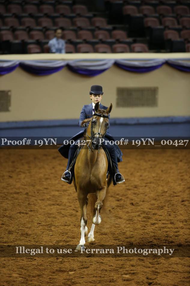 Proof 19YN_00427