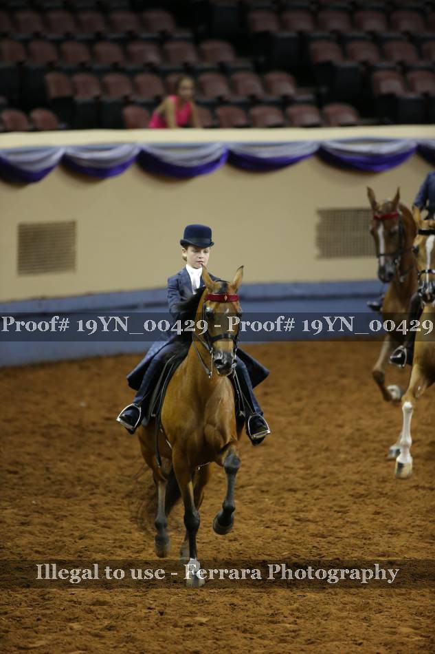 Proof 19YN_00429