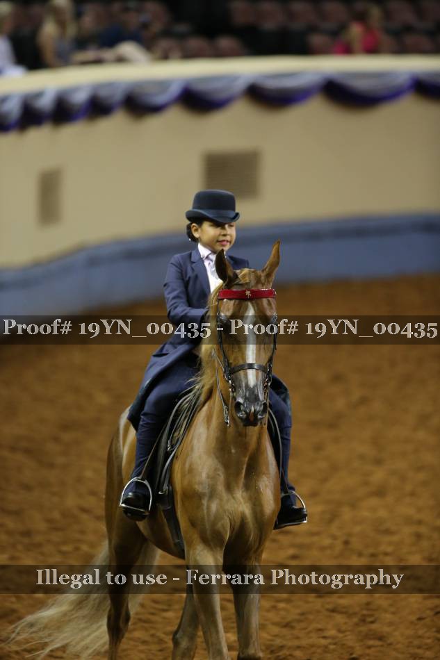Proof 19YN_00435