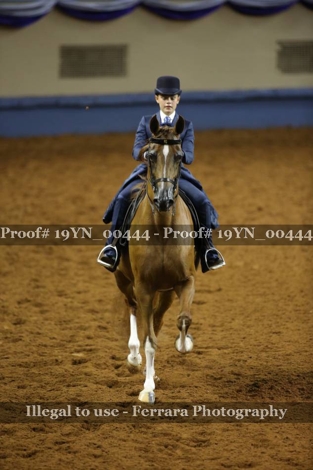 Proof 19YN_00444