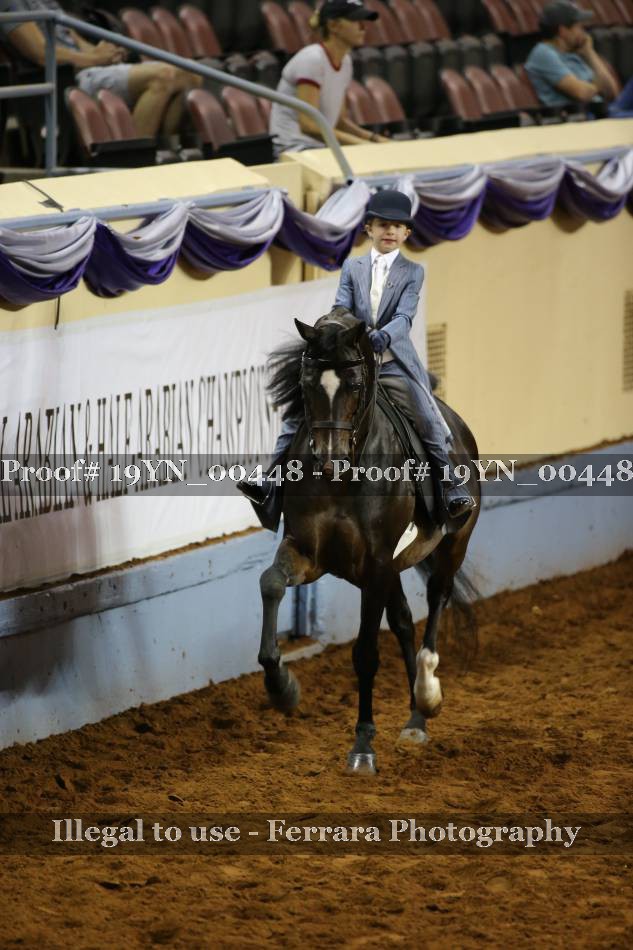 Proof 19YN_00448