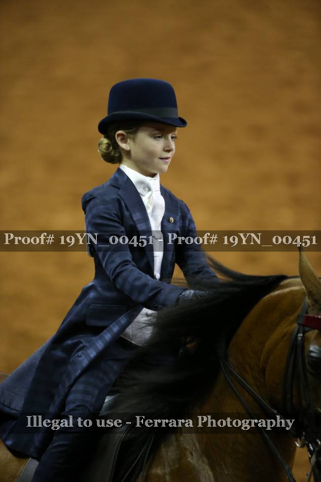 Proof 19YN_00451