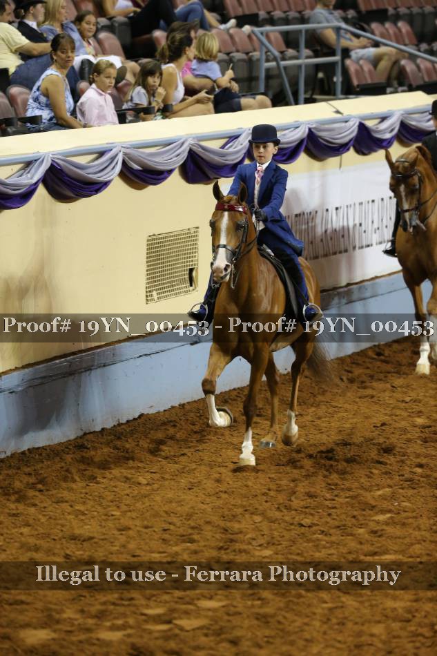 Proof 19YN_00453