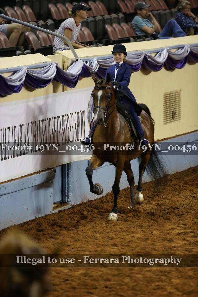 Proof 19YN_00456