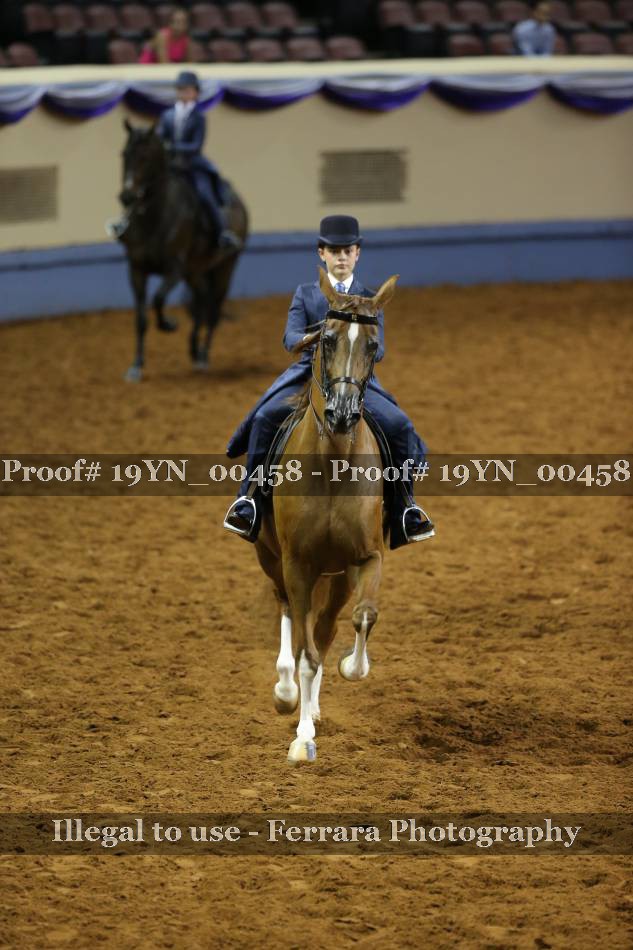 Proof 19YN_00458