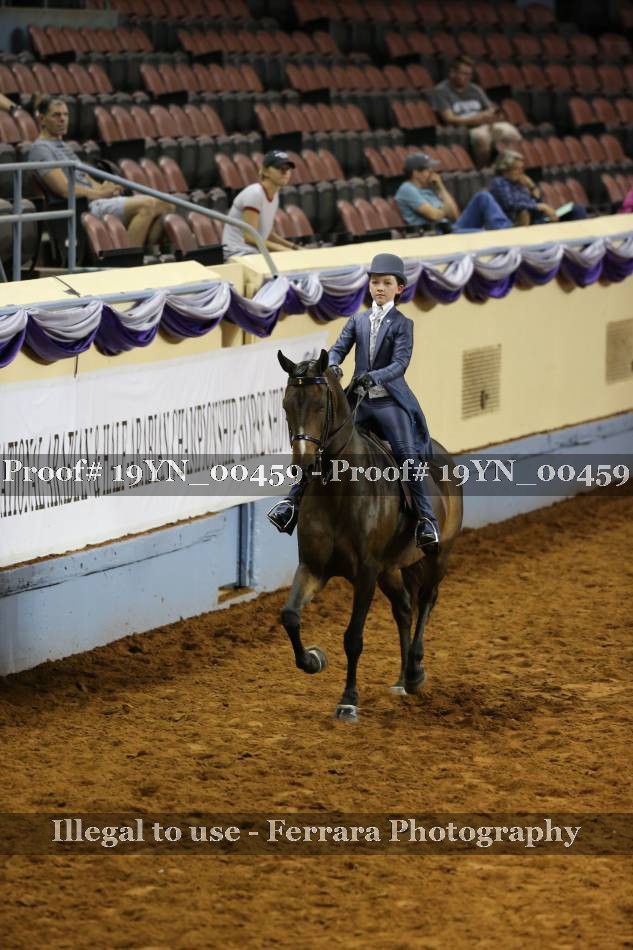 Proof 19YN_00459
