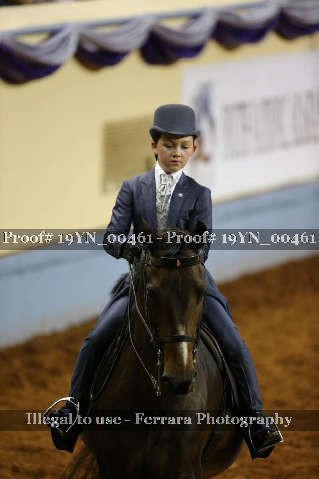 Proof 19YN_00461