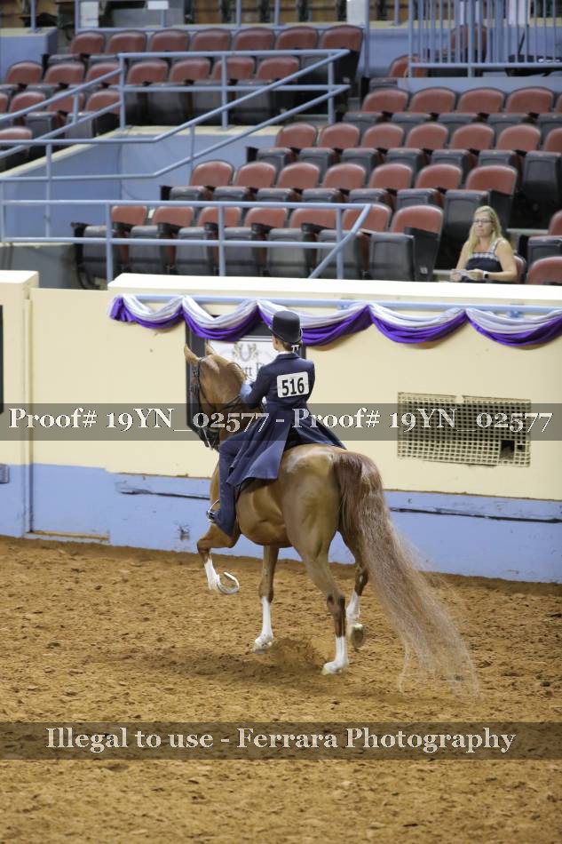 Proof 19YN_02577