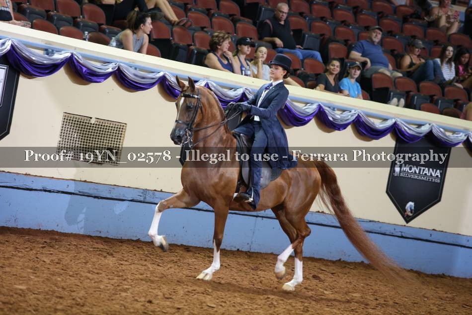 Proof 19YN_02578