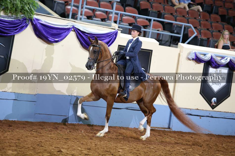 Proof 19YN_02579