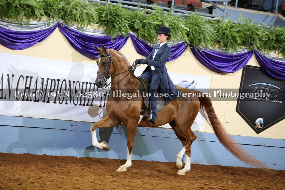 Proof 19YN_02580