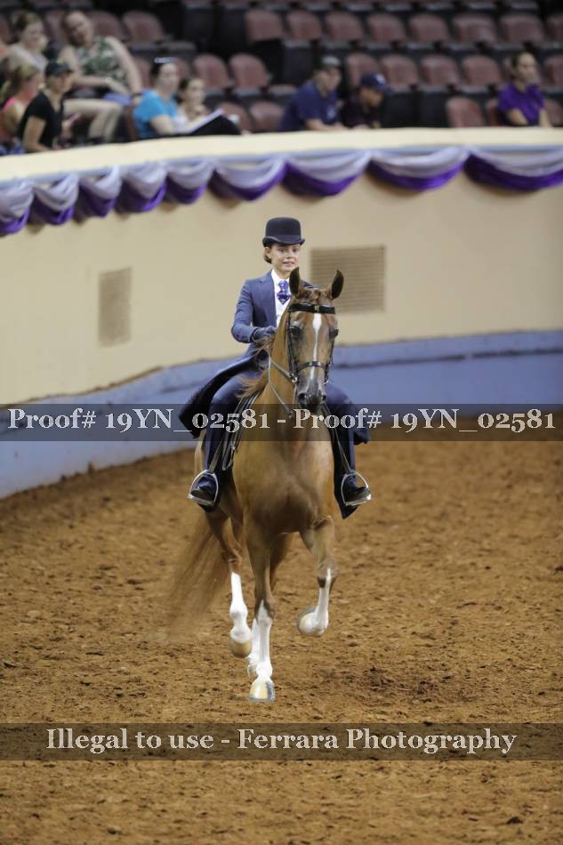 Proof 19YN_02581