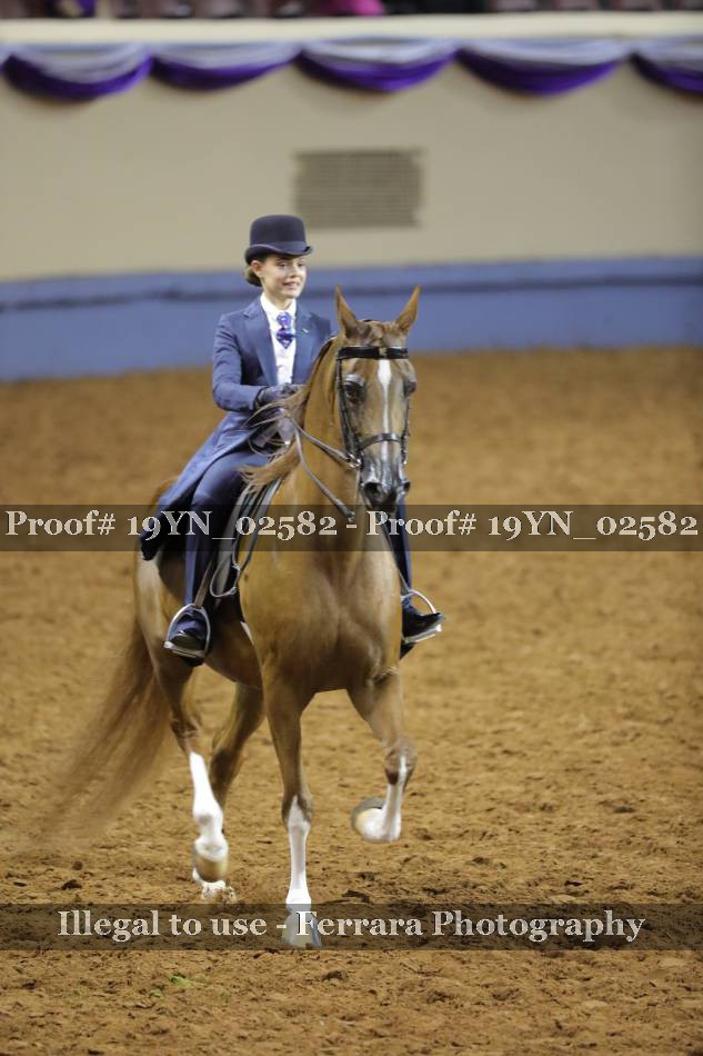 Proof 19YN_02582