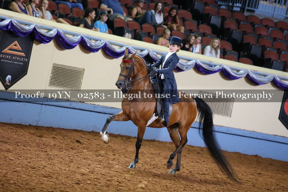 Proof 19YN_02583