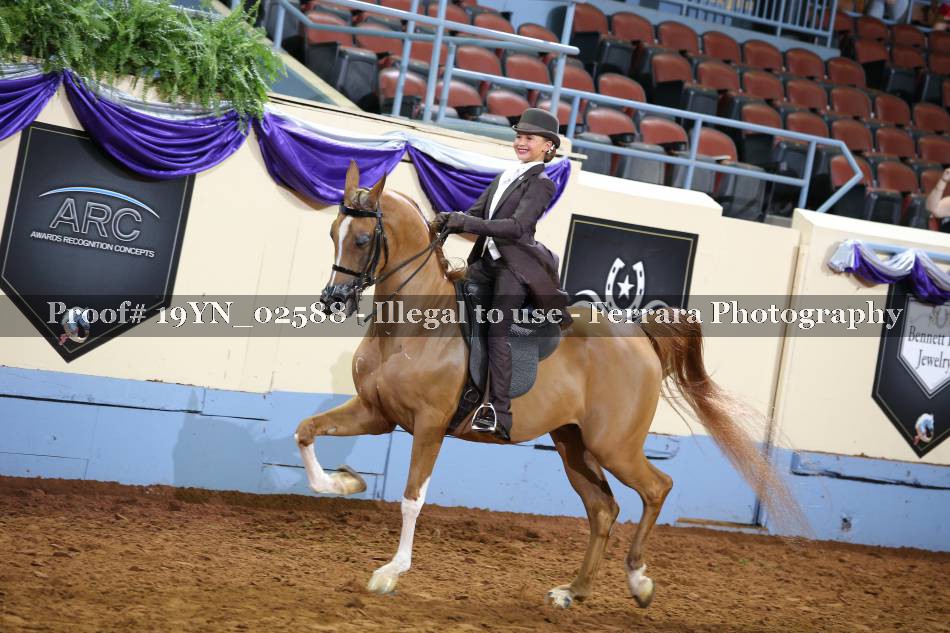 Proof 19YN_02588