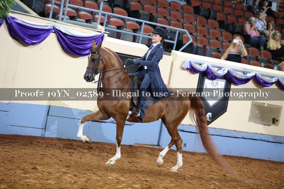 Proof 19YN_02589