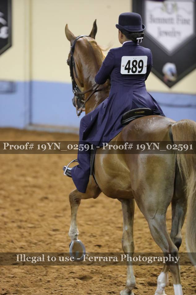 Proof 19YN_02591