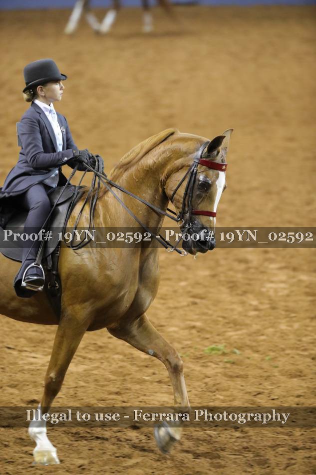 Proof 19YN_02592