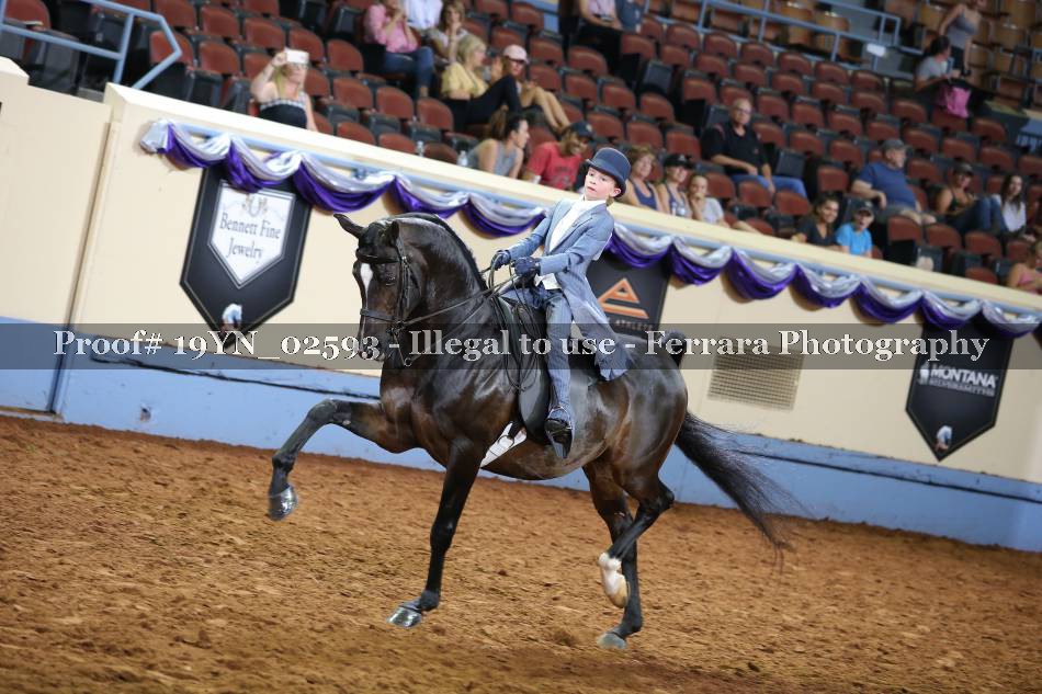 Proof 19YN_02593