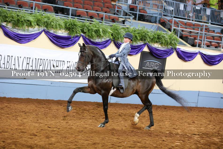 Proof 19YN_02594