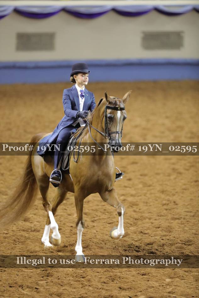 Proof 19YN_02595