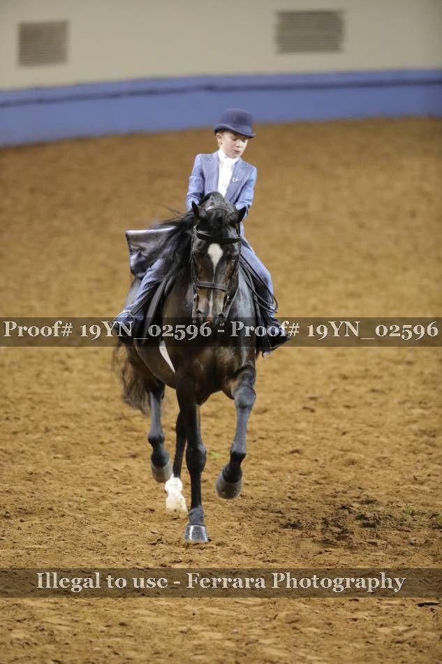 Proof 19YN_02596