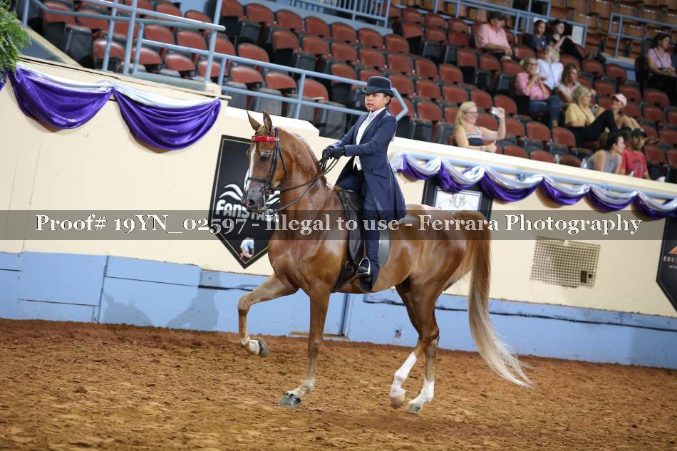 Proof 19YN_02597