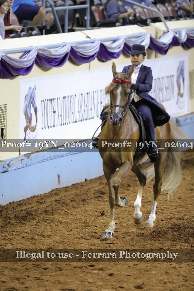 Proof 19YN_02604