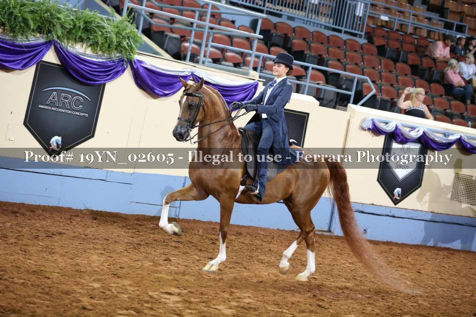 Proof 19YN_02605