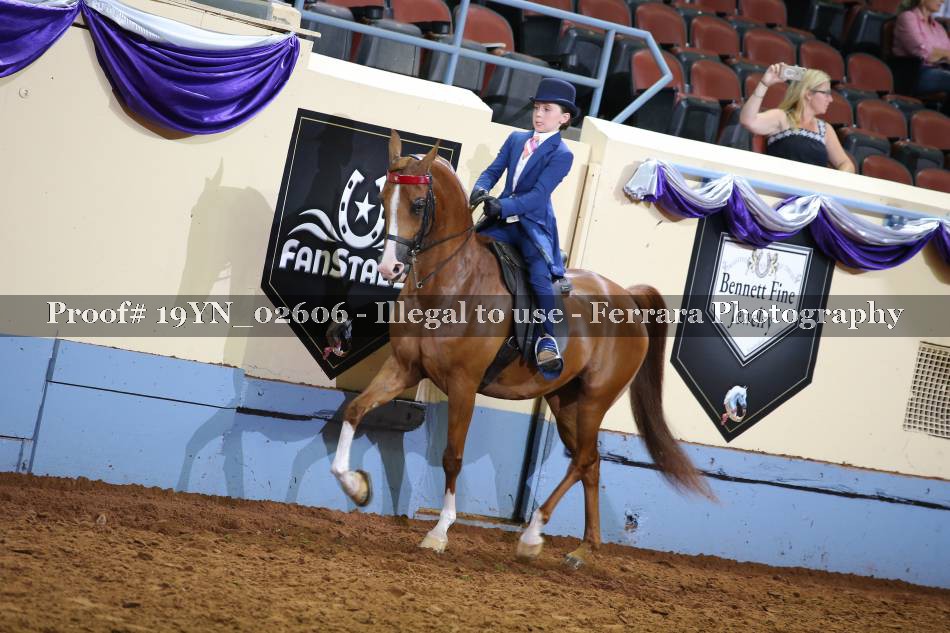 Proof 19YN_02606