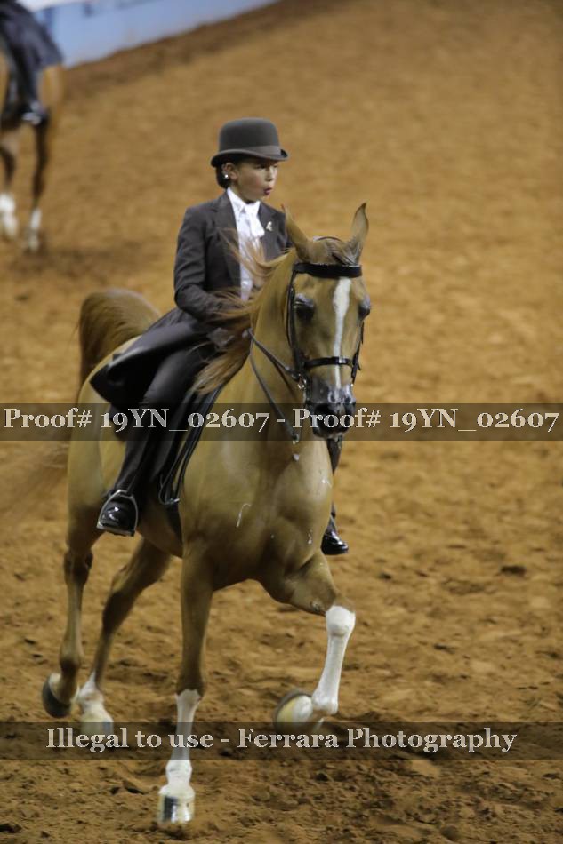 Proof 19YN_02607